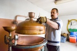distillation de prunes