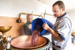 distillation de prunes